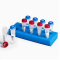 Quanti-Cult Plus Salmonella enterica serovar Typhimurium ATCC® 14028
